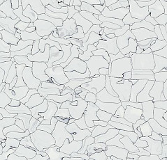 Forbo Colorex EC EC 250203 kilimanjaro фото 1 | FLOORDEALER